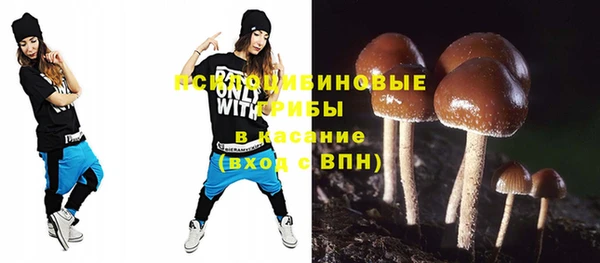 дмт Белокуриха