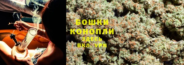 бошки Губаха