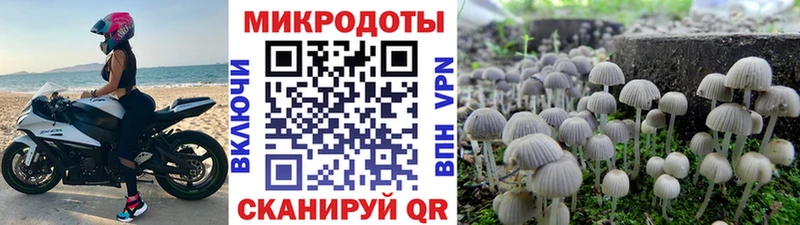 где продают наркотики  Горнозаводск  Галлюциногенные грибы Psilocybe 