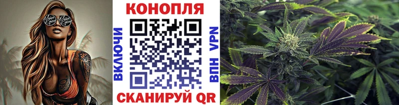Канабис сатива  Горнозаводск 